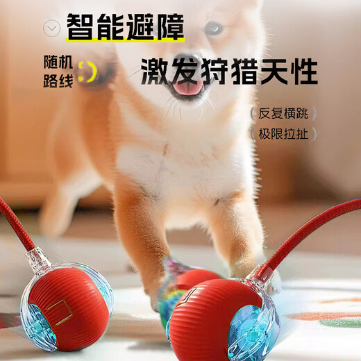 HELLOJOY dog toy bite-resistant ball, automatic dog amusing artifact, self-pleasure and boredom relief pet electric puppy smart elastic dog walking ball