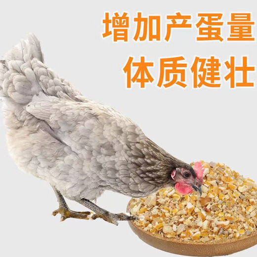 Factory direct sales 80 Jin Jin equals 0.5 kg layer hen feed for hens, egg laying broiler fattening pellets, full price nesting breeding special 10 Jin Jin equals 0.5 kg layer hen feed
