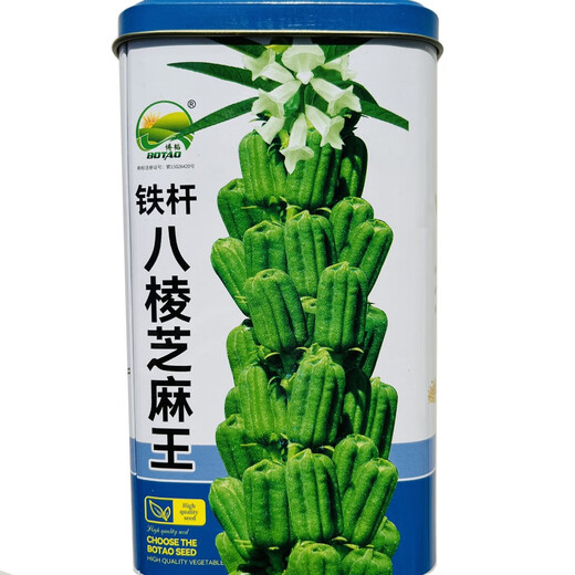 八棱白芝麻种子早熟榨油专用白芝麻种籽油量高耐旱耐重茬芝麻籽 铁杆八棱芝麻王原装400克*1盒