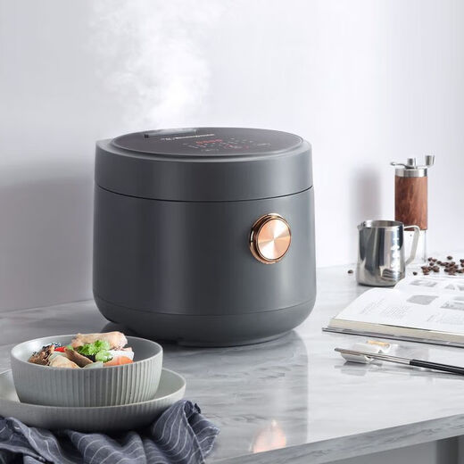 Westinghouse WRC-A825 Dunkelgrauer Reiskocher Dunkelgrau 5L