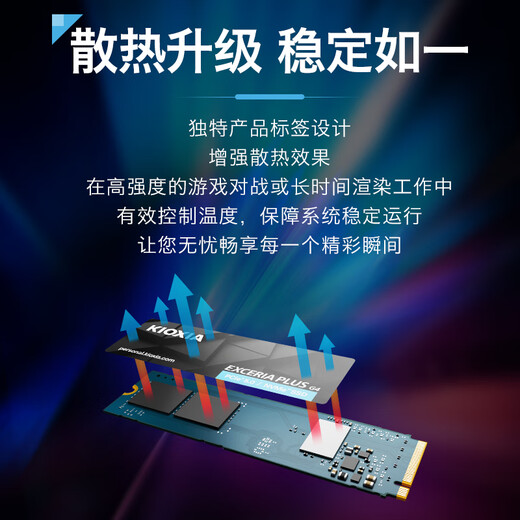 铠侠（Kioxia）1TB SSD固态硬盘 NVMe M.2接口 EXCERIA PLUS G4 VD10 系列（PCIE5.0*4 读速10000MB/s)