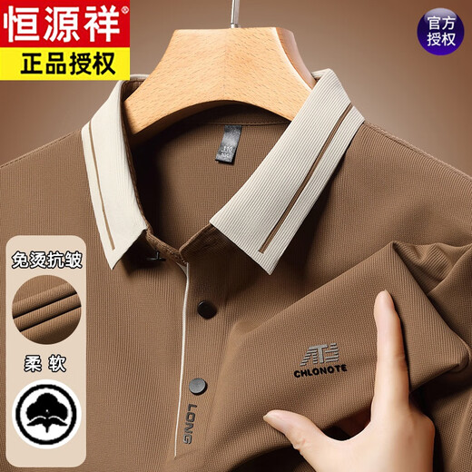 恒源祥中年男士长袖t恤春秋季新款休闲宽松翻领打底POLO.衫爸爸装上衣 16823浅绿 M 165【建议95-120斤】