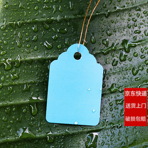 Shipton 100 pieces of PVC color plastic plant tags for flowers and gardening potted plants small hanging tags for seedlings and succulent tags 4.5x3cm white/100 pieces in a bundle