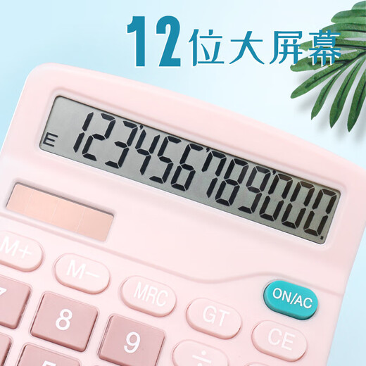 计算器女时尚会计专用办公可爱大号计算机网红男女财务办公专用创意大学科学函数计算器多功能小学生四年级 【樱花粉】语音款（送2节电池）838
