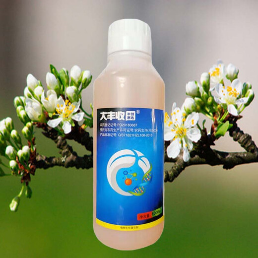 Dafengshengfengchuanghui chooses 2% benzylaminopurine cytokinin blastin to increase fruit setting rate plant growth regulator 1000ml