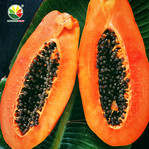Nongzhi Hongfei Papaya Seeds are red-fleshed fruits grown in the south. Nongyou Hongfei Papaya Seeds 5g/red heart