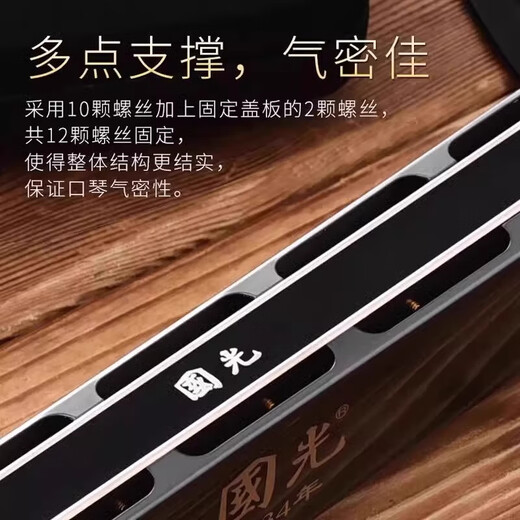 国光德国进口音簧国光28孔复音口琴正品重音专业演奏级24孔初学者入门 24孔黑色【重音】C调【带数字音符】