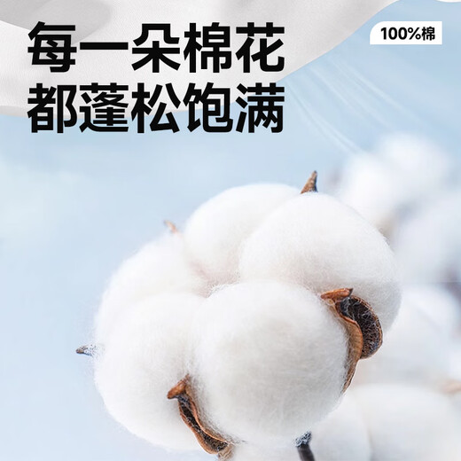 Miniso pure cotton long-sleeved T-shirt men's spring and autumn solid color round neck inner wear loose casual bottoming shirt white XL