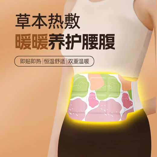 中葆堂(JOBIOTAL)艾草暖腰贴热敷贴暖腰带暖腹贴发热贴6片装