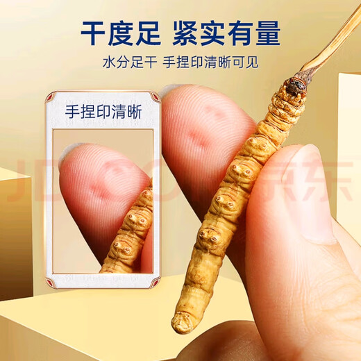 冬虫夏草（顺丰直发)藏区高海拔冬虫夏草礼盒送礼高端大气上档次 那曲虫草4根1克20条装