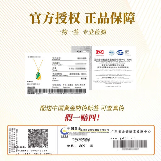 Central Chuang Fashion Chinese Gold Silver Necklace Female Jade Pendant Birthday Gift Commemorative Gift for Mother Elders Silver 925 National Color Peony Auspicious Cloud Necklace + Certificate