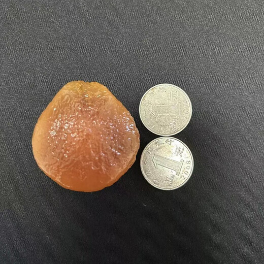 Shuque Big Herring Stonefish Shocking Stone Fish Throat Bone Anti-Frightening Natural Extra Large Fish Essence Raw Fish Frightening Bone 15-16g Raw Stone (Send Rope + Tools)