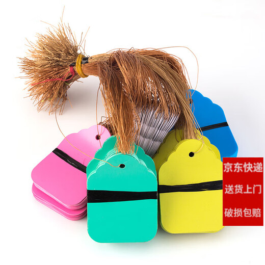 Shipton 100 pieces of PVC color plastic plant tags for flowers and gardening potted plants small hanging tags for seedlings and succulent tags 4.5x3cm white/100 pieces in a bundle