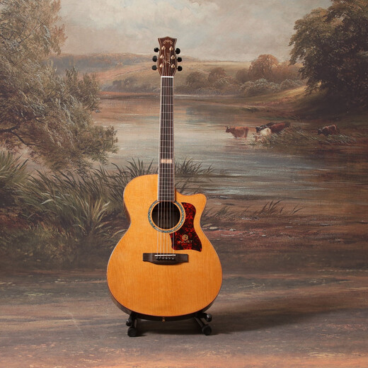 朱丽叶吉他面单x-9 GA缺角40吋电箱加振