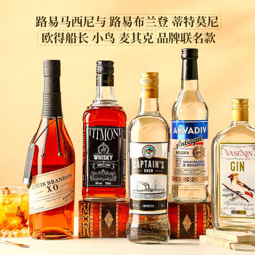路易布兰登（LOUIS BRANDON）洋酒威士忌白兰地白朗姆酒金酒伏特加调酒基酒鸡尾酒5支组合套装