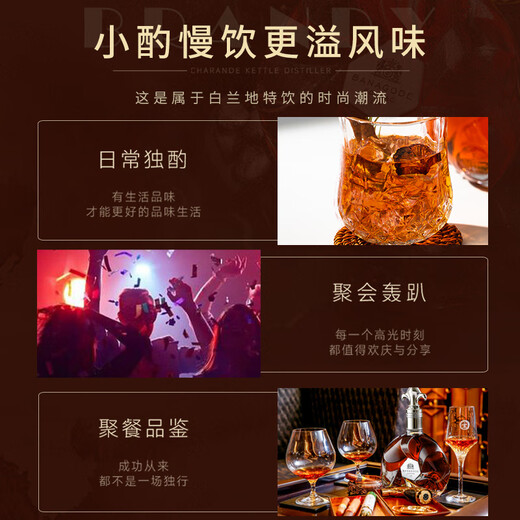 派斯顿法国进口洋酒白兰地XO 40°烈酒 秘密 原酒进口 礼盒展示送礼酒 柏纳佳帝干邑 700mL 1瓶