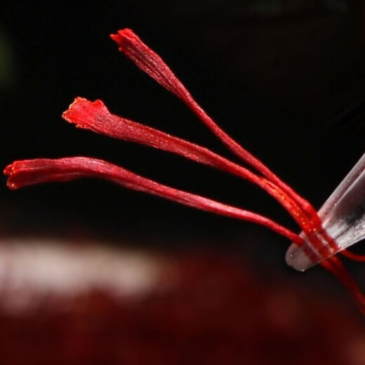 北京同仁堂正宗西藏藏红花西红花特级藏红花中药材月经不调养颜瓶装泡酒 野生长丝藏红花[五瓶]