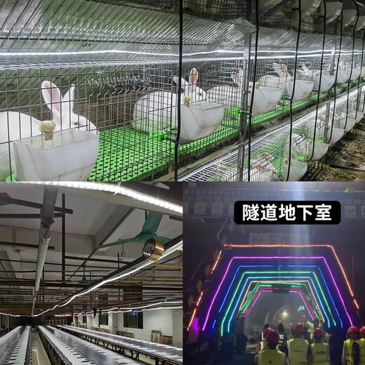 Fanyao Super Bright LED Light Strip Outdoor Waterproof Sun Protection Engineering Lighting Indoor Ceiling 52 Beads/M-White Light-10 Meters