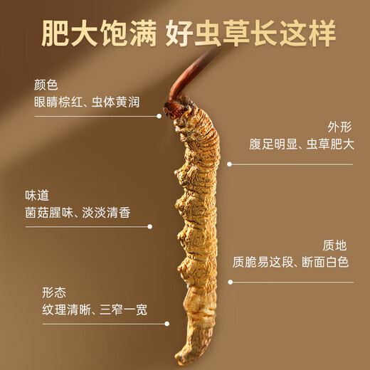 Lei yunshang [offiziell] Cordyceps sinensis High-End Cordyceps Geschenkbox Tonics für Älteste Geschenke für Gesundheit und High-End-Geschenke für Menschen [Cordyceps respektieren die älter
