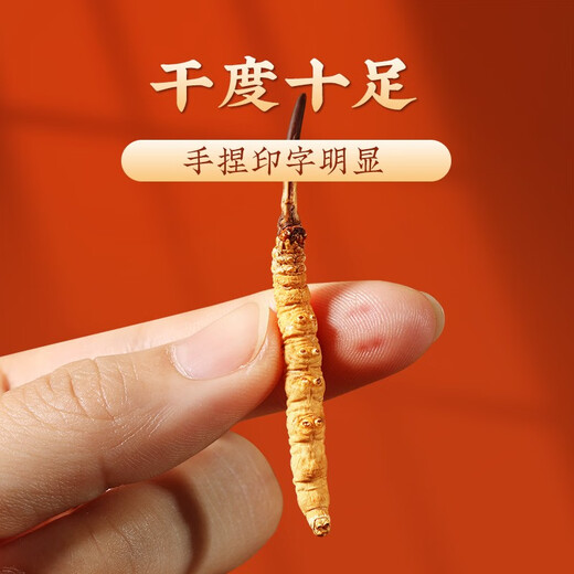 圣迪康藏冬虫夏草 新干虫草滋补送礼物佳品 送长辈礼品 营养品 3根/克  10克30根礼盒装