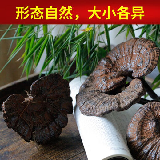 Fat Donglai's same style wild Ganoderma lucidum, pure natural purple Ganoderma lucidum, wild L-grown deep mountain natural non-bitter pruned branch with spore powder 500g whole Ganoderma lucidum 20-30 pcs