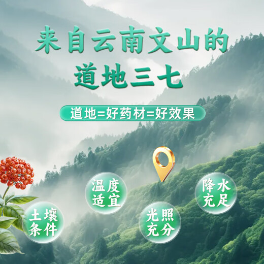北京同仁堂自营三七粉2g*20袋独立小包装 正宗特级纯三七粉通络 云南文山中药饮片精制饮片散瘀止血 消肿定痛