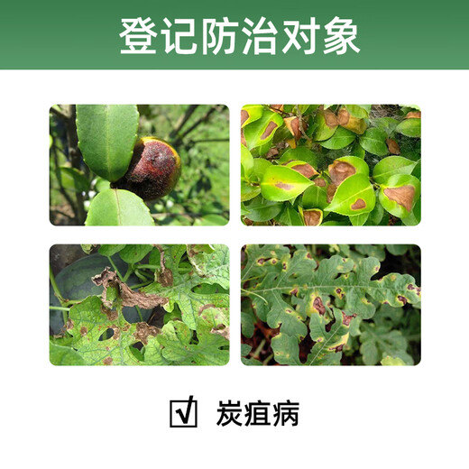 Guoguang Huixiu 32.5% azoxystrobin anthracnose special medicine for vegetables, fruit trees and flowers pesticide fungicide 100g
