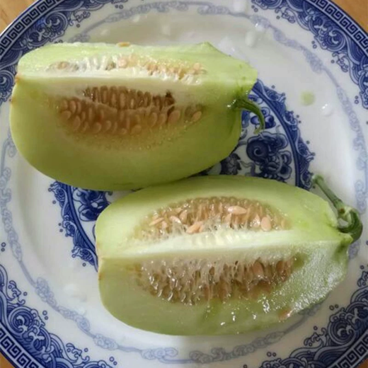 Xiangbin Japanese Sweet Treasure Melon Seeds Extra Large Authentic Spring Season Fruit Seeds Super Sweet Watermelon Muskmelon Seeds Japanese Sweet Treasure Seeds 100 Original x5 Pack