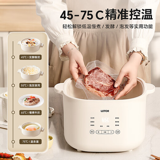 LOTOR electric stew pot for stewing soup, household water-proof bird's nest stew pot, ceramic porridge artifact, baby food supplement pot for 2-3 people, 4 LD-DDZ40 steamer