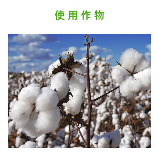 Guoguang 98% methylphenidate, grape, tomato, cotton, chlormequat, prosperous, shortened node spacing, anti-lodging regulator 10g/bag