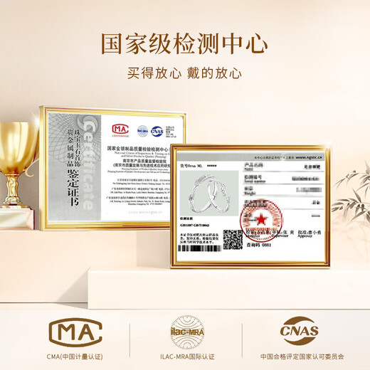 ALLOVE Lian Lizhi Couple Ring Men's and Women's Sterling Silver Proposal Ring Birthday Gift for Girlfriend and Wife Practical Wedding Gift