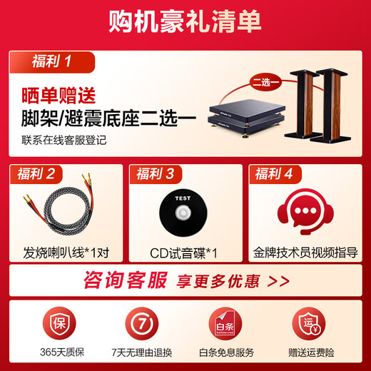 HiVi D8.1 High Fidelity 8-inch Bookshelf Speaker 2.0 Fever Passive Bluetooth Amplifier TV Speaker D8.1 + AD-66DPRO (Professional Edition)