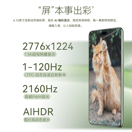 华为（HUAWEI）【国家补贴】华为nova13Pro/nova13手机 AI修图 北斗卫星图片消息 鸿蒙智能曲面屏手机YX55 【Nova 13 pro】洛登绿 256GB内存 官方标配