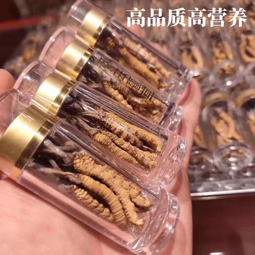 Аутентичные Cordyceps Sinensis Первый период выбрали питательные сухие товары Два грамма подарочных коробки для подарков и питательных тоников Cordyceps, подлинные Cordyceps sinensis в тибетских районах, 50 грамм