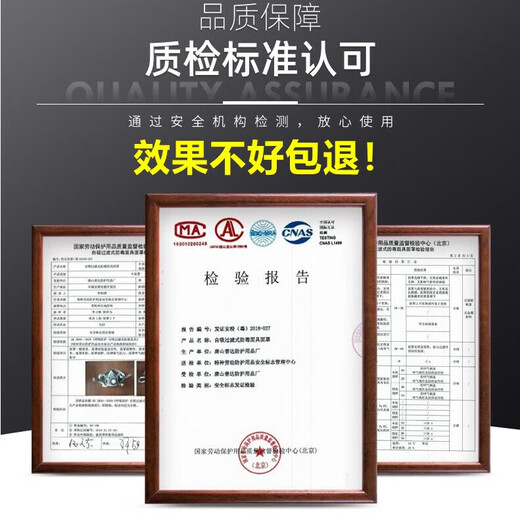 Gas mask toxic gas spray paint anti-smoke mask dust mask anti-industrial dust advanced full face protection toxic chemical gas 6200 dust-proof gas mask + anti-fog large eye mask