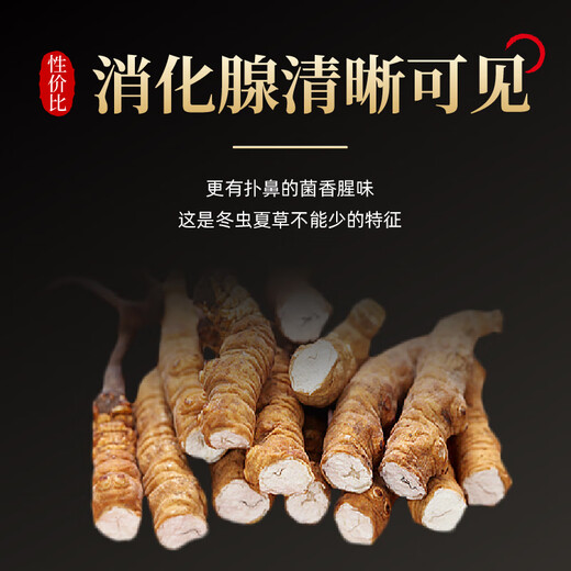 宝明堂冬虫夏草1g&5g滋补虫草高端补营养品送长辈老人商务节日礼品 1g/瓶