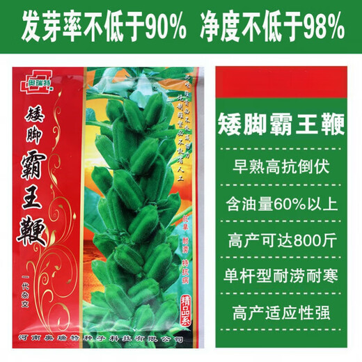 New species of Short-legged Overlord Whip Aerospace Overlord Whip sesame seeds, medium-early maturing and high-yielding sesame seeds specially used for oil extraction. Short-legged Overlord Whip/200g High-yield White Zhizhi