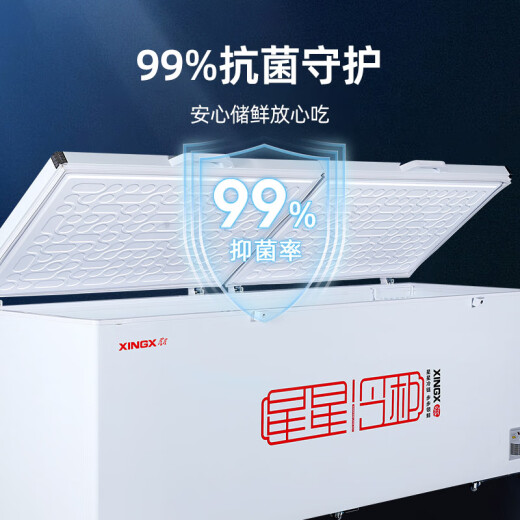 星星（XINGX）冰柜商用大容量冷柜500升以上冷藏冷冻两用冰柜双开门卧式冰箱雪糕柜超市便利店商用冰柜 2.5米975升丨-30℃除霜1级能效1098GE