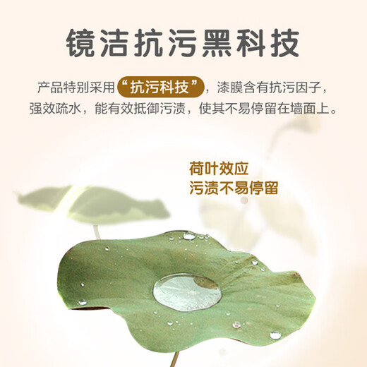 Dulux Latex Paint Zhiyue Jingjie Antibactérien et aucun additif cinq en un anti-peinture de peinture murale intérieure antimond A751 White 5L