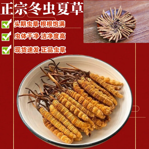 Аутентичные Cordyceps Sinensis Первый период выбрали питательные сухие товары Два грамма подарочных коробки для подарков и питательных тоников Cordyceps, подлинные Cordyceps sinensis в тибетских районах, 50 грамм