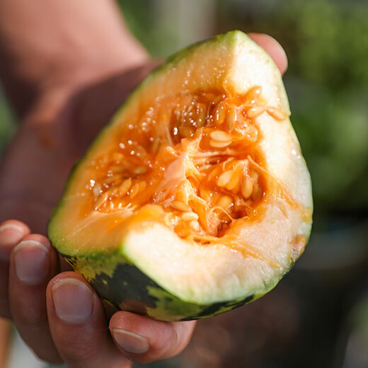 Beishu melon seeds, emerald rock sugar seeds, croissant honey, white sand honey, spring melon seeds, Beishu sweet tooth rock sugar melon seeds, about 60 pieces, 2 bags