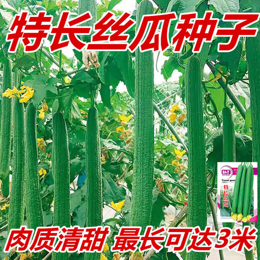 Long luffa seeds are planted in all seasons, early maturing snake-shaped luffa garden pots contain luffa, meat and vegetable seeds. The flesh is sweet. Long luffa seeds are planted all year round. Original 100 capsules. 95% selected.