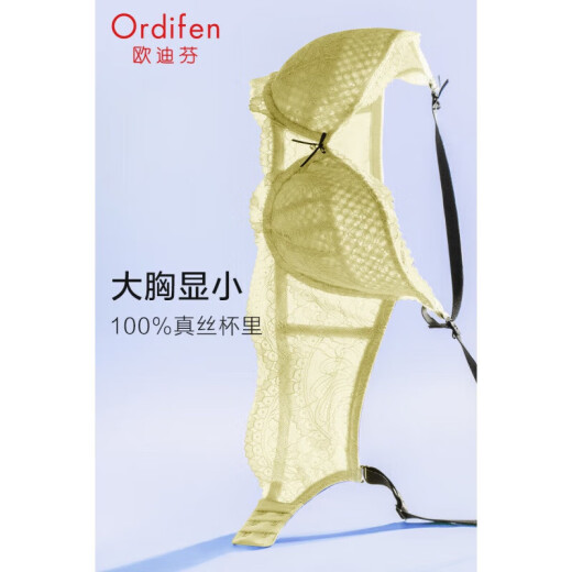 欧迪芬（Ordifen）内衣女Grace系列大罩杯法式文胸大胸显小胸罩送女友 嫩芽绿 80B