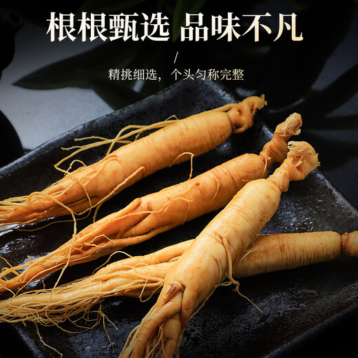 1 Frisch Ginseng in Banshan Agricultural etwa 40 Gramm. Die Spezialität des Nordostchina Changbaumsan Ginseng. Medizinische Materialien und Älteste Tonic Nutritional Products.