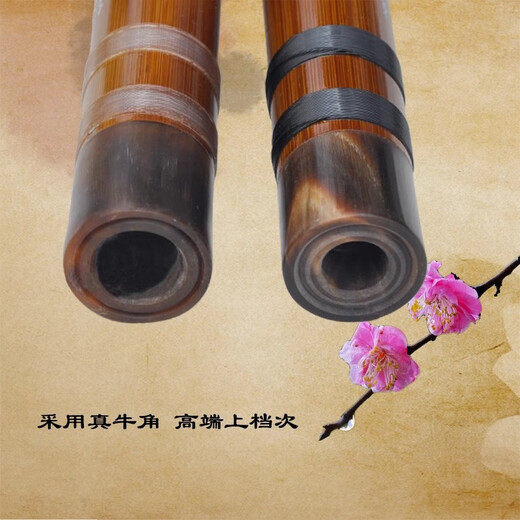 管子先生横笛苦竹笛子乐器精制专业演奏初学成人零基础儿童调 F调