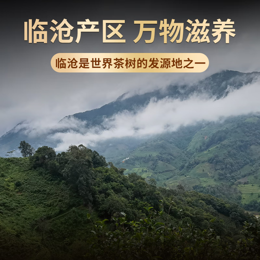 Banzhang Chun Tea Pu'er Tea Té maduro Más de 10 años Premium Islandés Antiguo Árbol Palacio Maduro Pu Lao Pu'er Té suelto maduro 500g