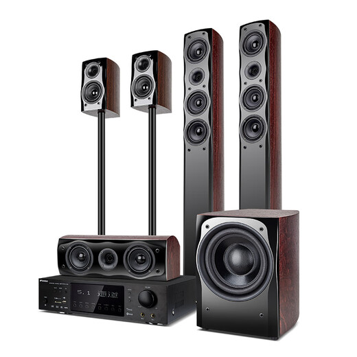山水（SANSUI） F8 5.1无线家庭影院 木质家庭KTV音响套装 卡拉OK 落地式家居音响 5.1专享版【标配功放20A】