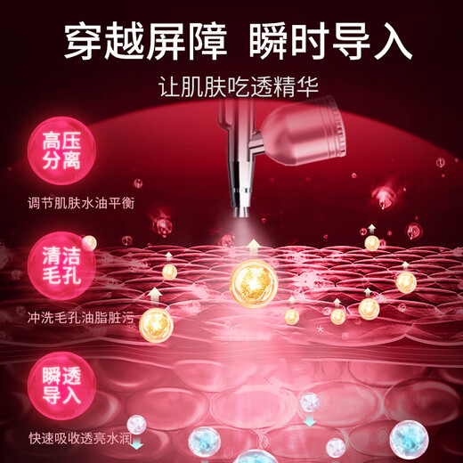 VLVEE Oxygen Injector Household Nano Spray Hydration Instrument Handheld High Pressure Water Light Facial Beauty Instrument Birthday Gift for Girls Practical for Girlfriends Goddess Luxury Set Upgraded Elegant Purple Oxygen Injector + Rose Essence