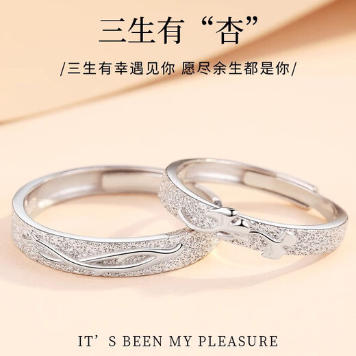 MZMZ Platinum Couple Ring PT950 Platinum Pairing Ring for Marriage, Valentine's Day, Birthday Gift for Girlfriend, Wife, Light Luxury - Couple Ring