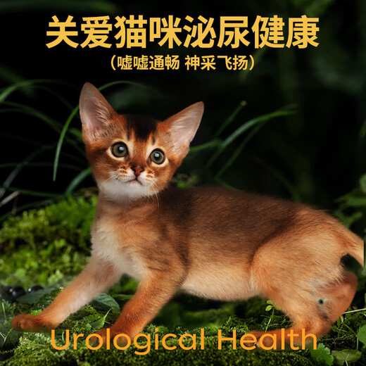 力狼力狼猫粮 幼猫奶糕宠物天然粮全价全猫种通用 鲜肉配方-幼猫专用2.5kg